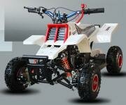  Moto Center  -     () Mini ATV  50cc 